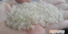 防止大米霉变的最重要的是，为了防止小米发霉会添加什么