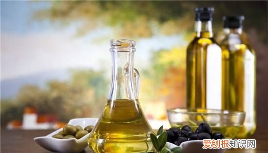 橄榄油什么味道,橄榄油有什么味道
