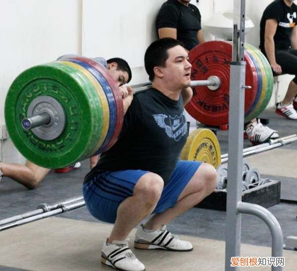 蹲起会让腿有肌肉，每天做蹲起能锻炼什么部位的肌肉