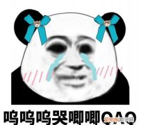 唧唧里唧唧里是什么歌，小鸡叽叽叽小鸭嘎嘎嘎好想说话是什么歌