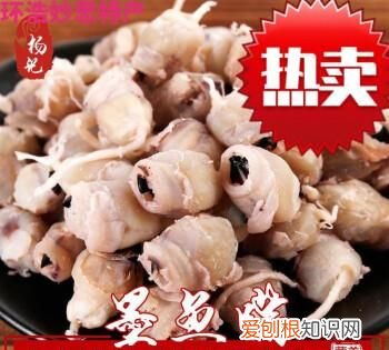 墨鱼嘴那个硬壳能吃吗，墨鱼中间白色硬硬的东西叫什么