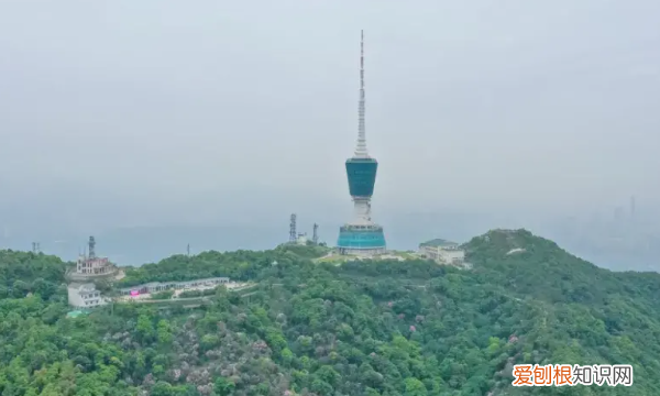 深圳凤凰山海拔多少米，深圳凤凰山海拔高度多少米
