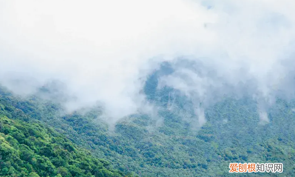 深圳凤凰山海拔多少米，深圳凤凰山海拔高度多少米