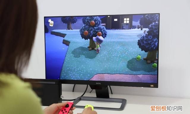 switch适合外接多大显示器