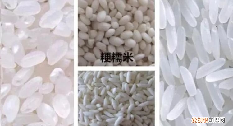 大米品种，大米一级二级三级区别