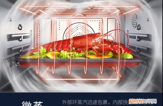 现在流行的微蒸烤一体机实用吗 最实用的微蒸烤一体机