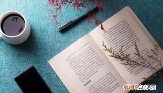 有识之士中识读zhi吗