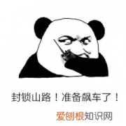 新电影网络上映