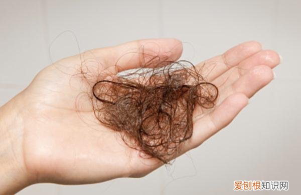 头发浓密的偏方