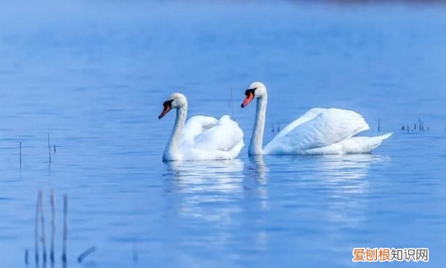 专家组房山调研，一天就发现这么多珍贵“小可爱”