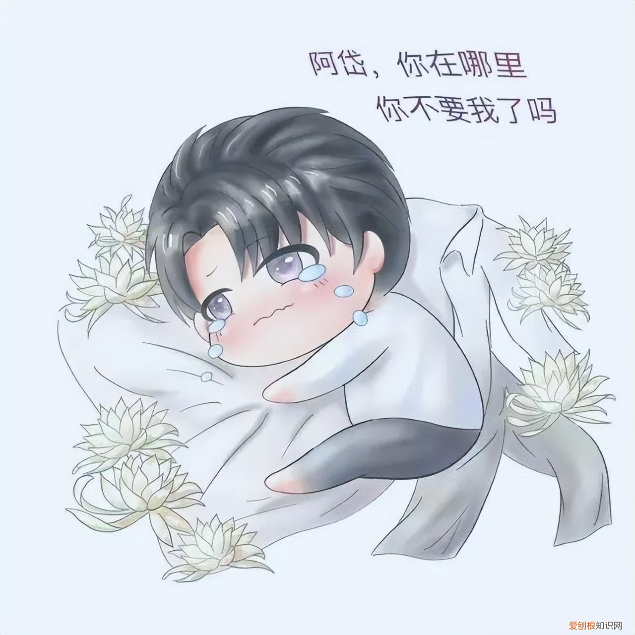 顶级掠食者17章截图海棠