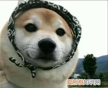 颧骨内推能推平吗 颧骨内推不建议推平