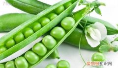 豆类蔬菜有哪些品种，豆类蔬菜可使用的除草剂有哪些