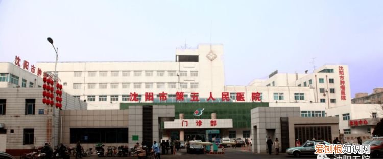 沈阳市第九人民医院在哪里，怎样去沈阳市第十人民医院