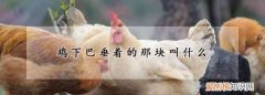 大公鸡下巴的两坨肉叫什么，公鸡头下颚长的那两个肉片叫什么名字