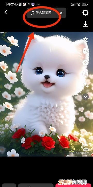 怎样在抖音上发视频,抖音如何上传本地并发布