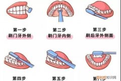 刷牙的方法，刷牙的正确方式出自哪本书