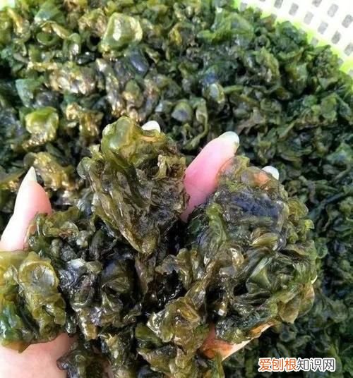 地皮菜清洗绝招,地皮菜怎么洗既快又干净地皮菜怎么洗
