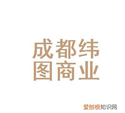 成都纬图是干啥的