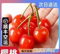 恩桃是什么水果