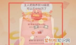 京东金贴如何使用京东金贴是什么