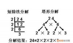 如何分解质因数，怎么分解质因数