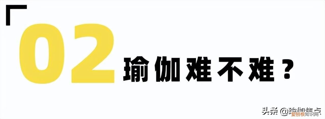 瑜伽入门视频 基本 初学者