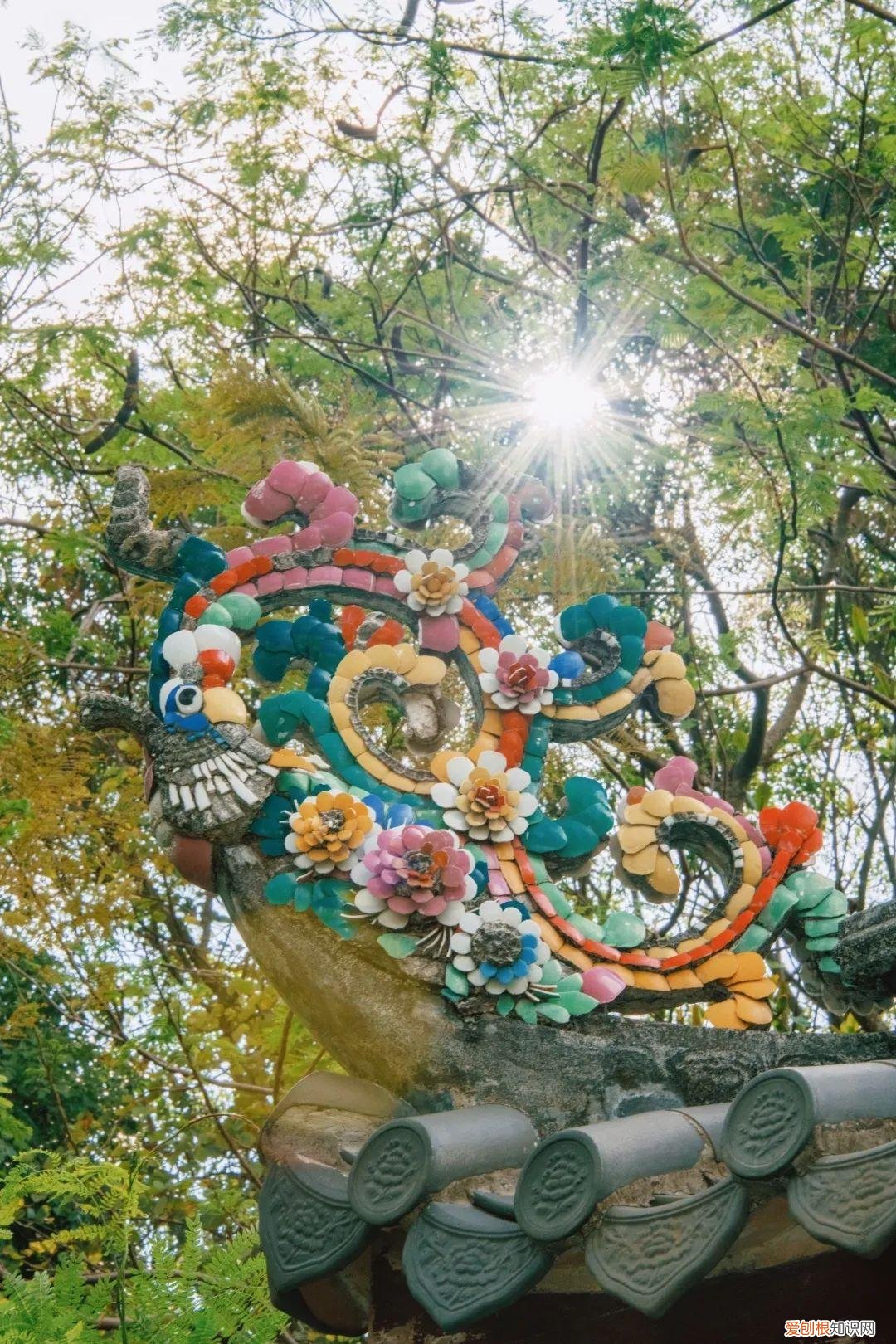 深圳园博园景点介绍