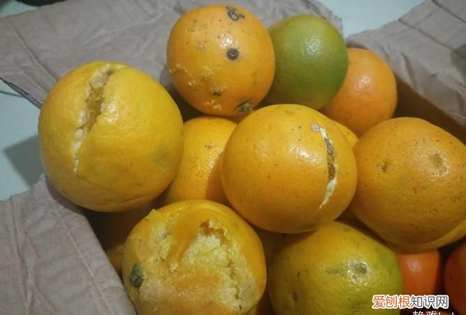 怎么判断橙子变质，为什么有的橙子又甜又酸又苦