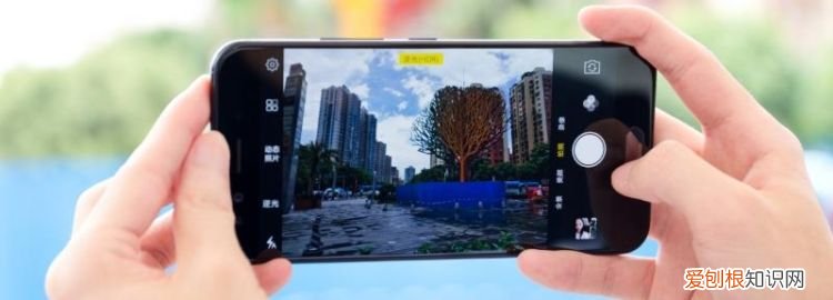 带id打卡怎么拍