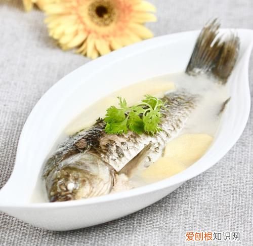 鲫鱼汤热量高吗，鲫鱼汤对伤口愈合有好处