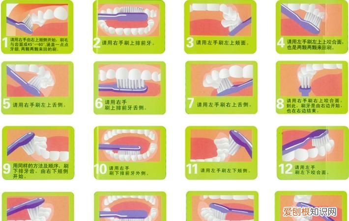刷牙的正确方法，刷牙器正确使用方法