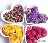 花茶怎么保存，菊花茶怎么保存