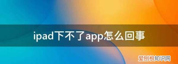 ipad下不了app怎么回事