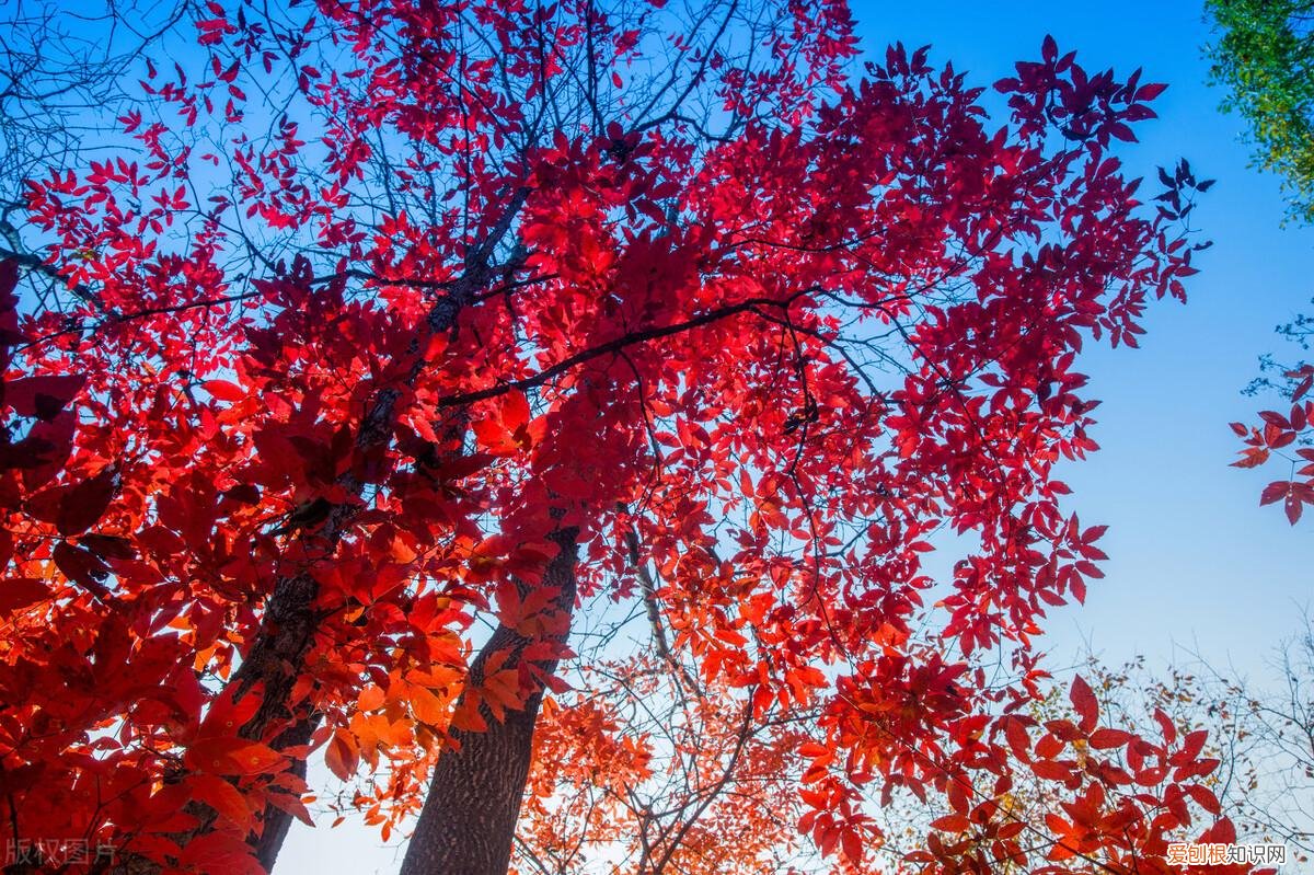 吉林景点