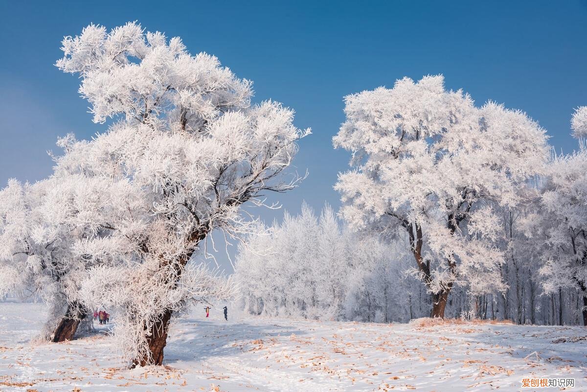 吉林景点