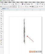 cdr中复制文字应该怎么样进行操作