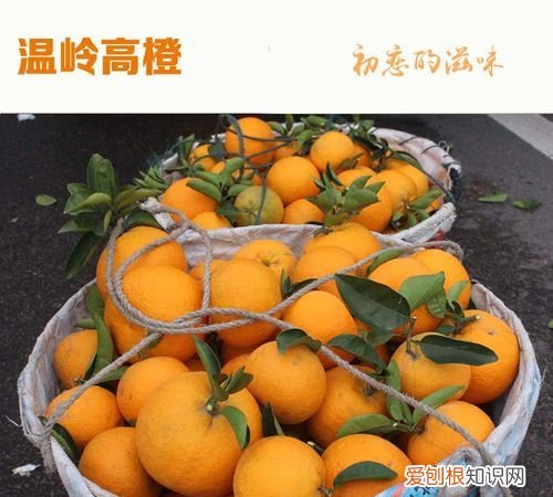 广柑的功效与作用，广柑酒怎么泡的最好吃