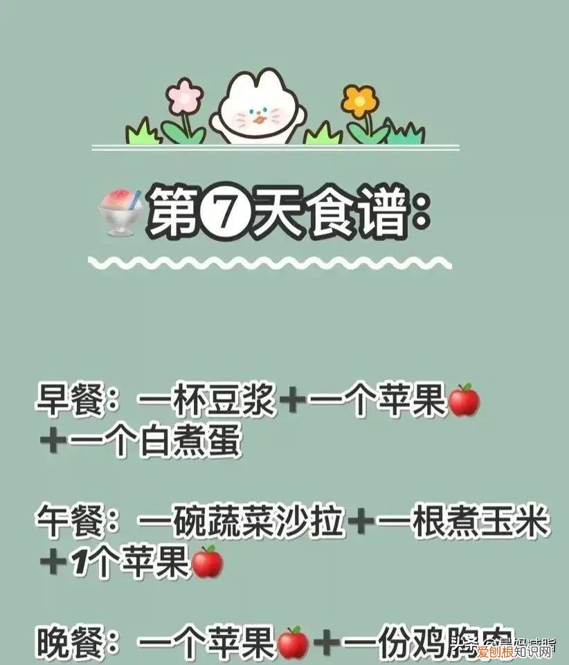 苹果减肥法三天瘦8斤