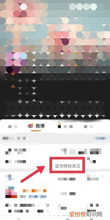在微博上可以如何设置特别关注，微博特别关注怎么设置实时提醒