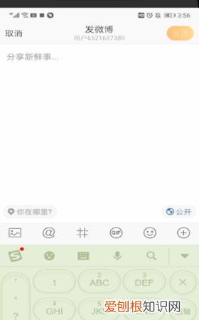 新浪微博官方网站，可以怎么样进行发表微博