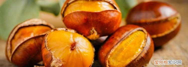 板栗的热量,烤板栗的热量多少卡