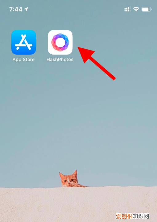 怎么看苹果手机照片的大小kb，在苹果手机可以如何看照片大小