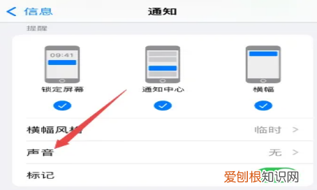 苹果通知声音怎么样才可以改，苹果手机怎么更改软件通知声音