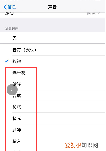 苹果通知声音怎么样才可以改，苹果手机怎么更改软件通知声音