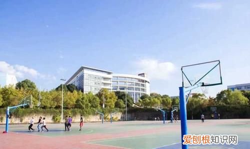 武汉软件工程职业学院在哪