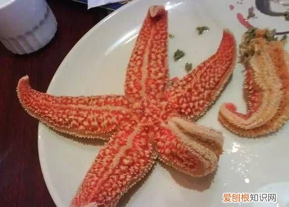 海星可以吃吗，海里面的五角星可以吃