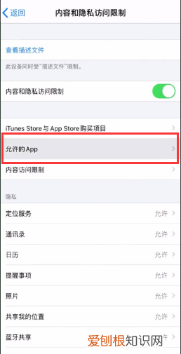 苹果手机怎么隐藏app，苹果手机怎么才可以隐藏App图标