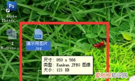 照片格式大小应该怎么样才能更改