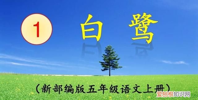 部编版五年级上册语文白鹭知识点